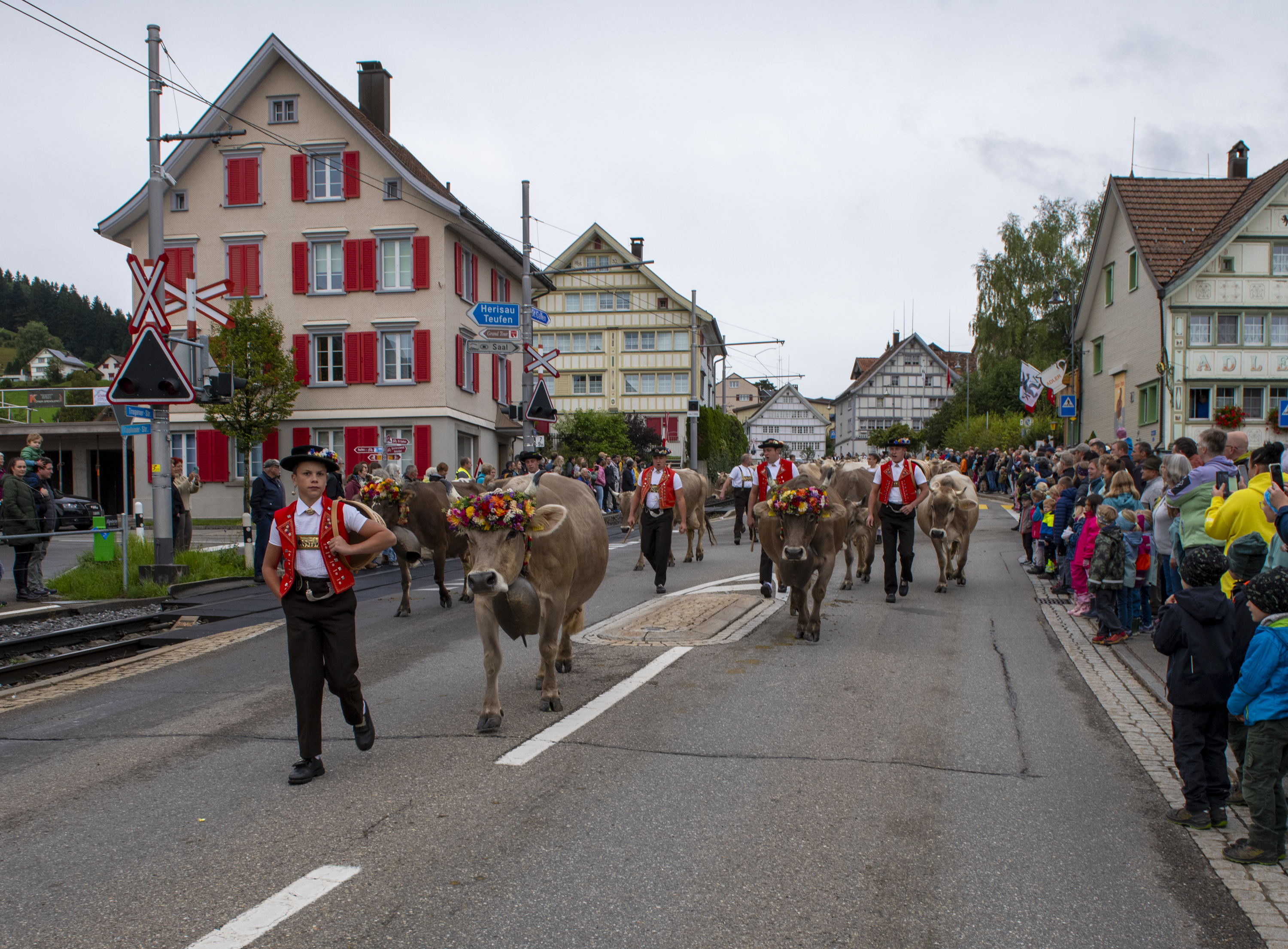 Viehschau