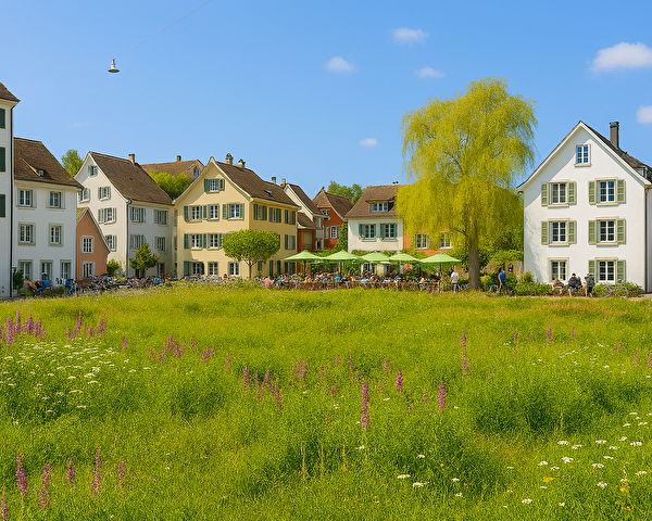 Grosse Wiese vor einem Dorf