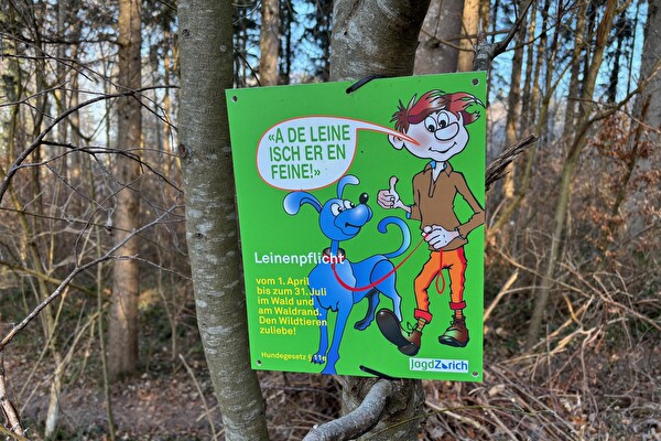 Plakat Leinenpflicht im Wald Bonstetten