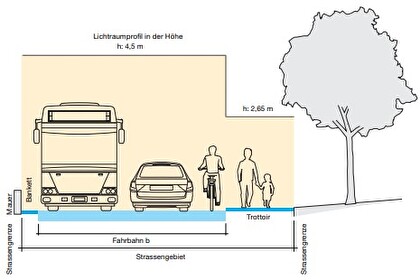 Darstellung Abstände für Pflanzenrückschnitt