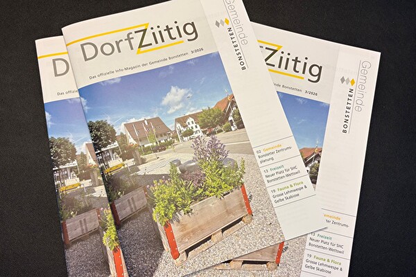 Logo DorfZiitig