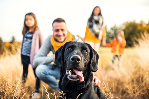 Schwarzer Hund mit Familie