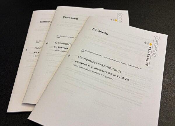 Weisungen zur Gemeindeversammlung