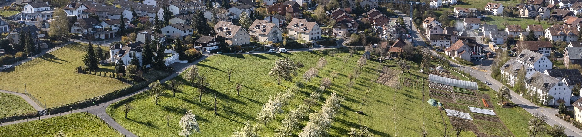 Blick auf Obstbäume in Bonstetten