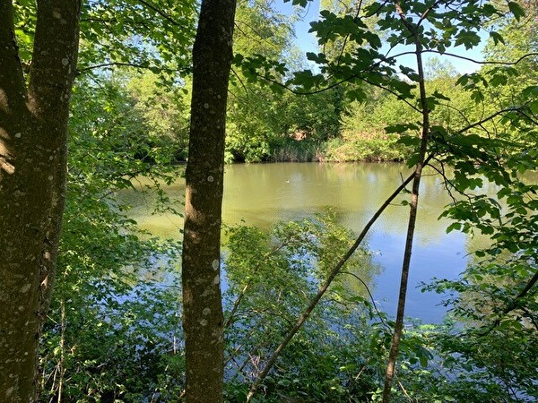 Der Bonstetter Lochenweiher