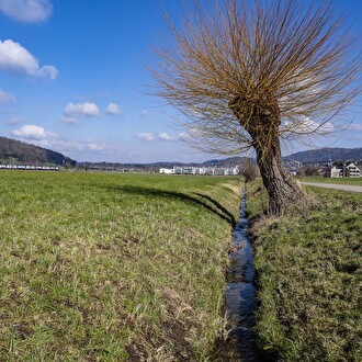 Friedgraben