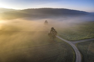 Übersichtsbild