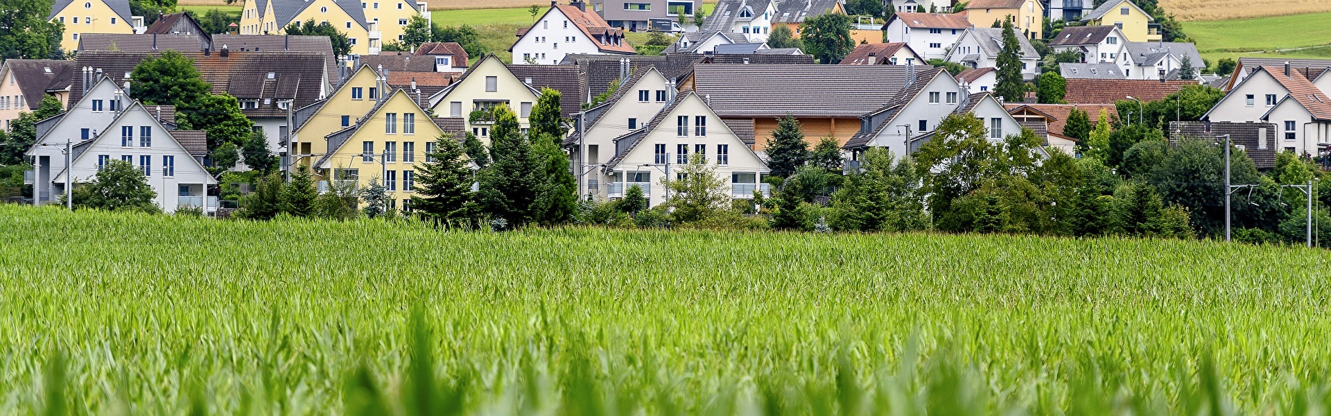 Blick auf Häuserzeile hinter Grasfeld