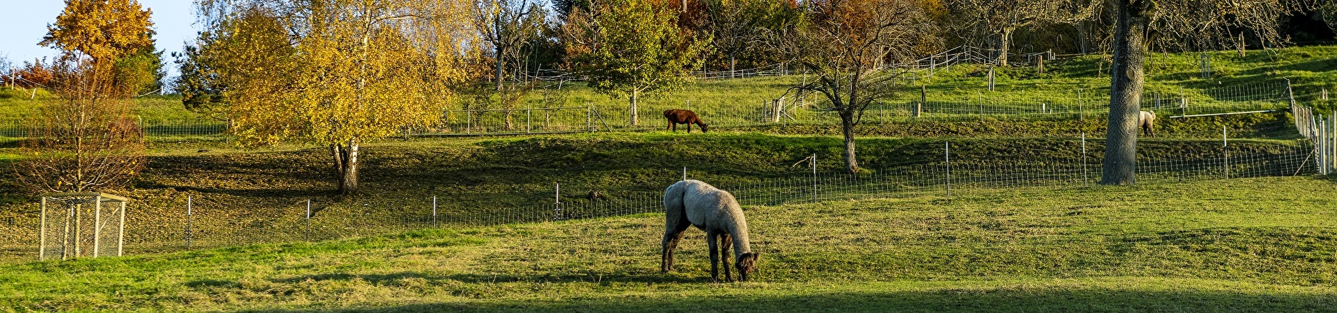 Themenbild