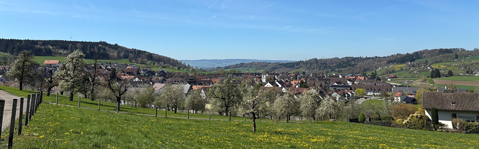 Blick über Bonstetten