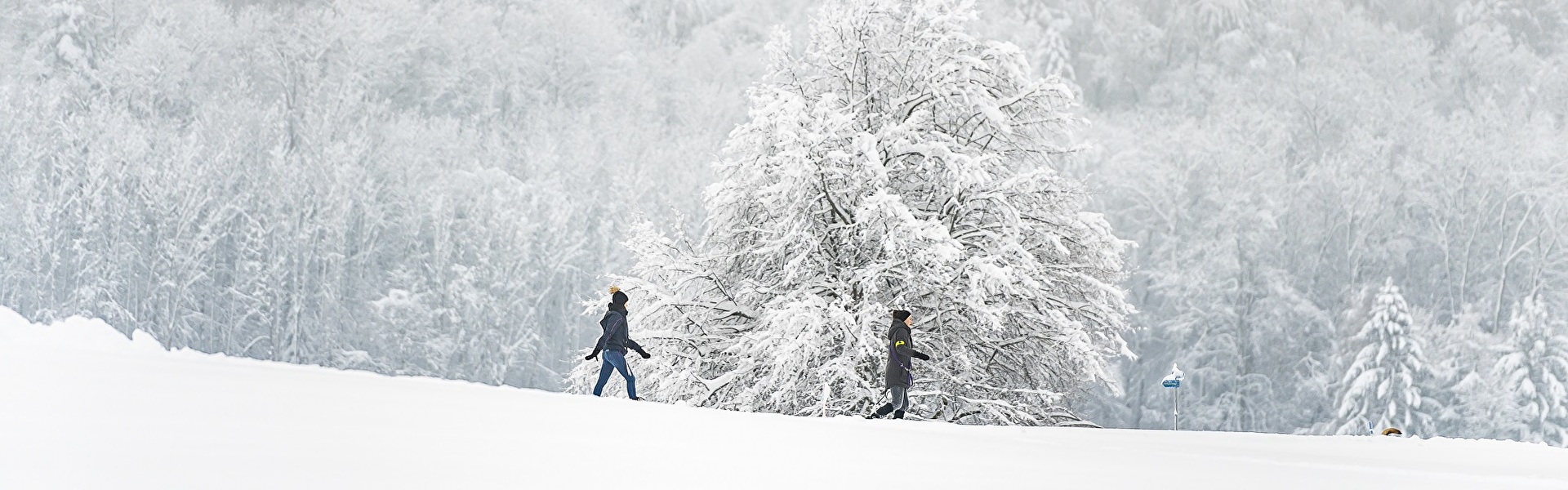 Spaziergänger im Schnee