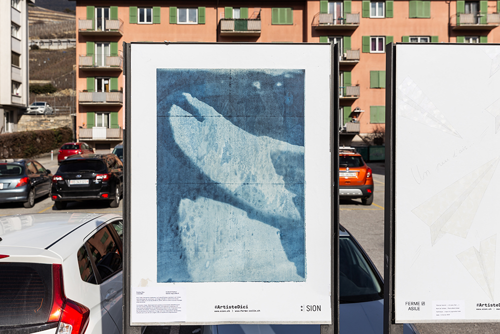 Collectif Facteur
diabley bleu, 2021, cyanotype