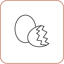 Oeufs