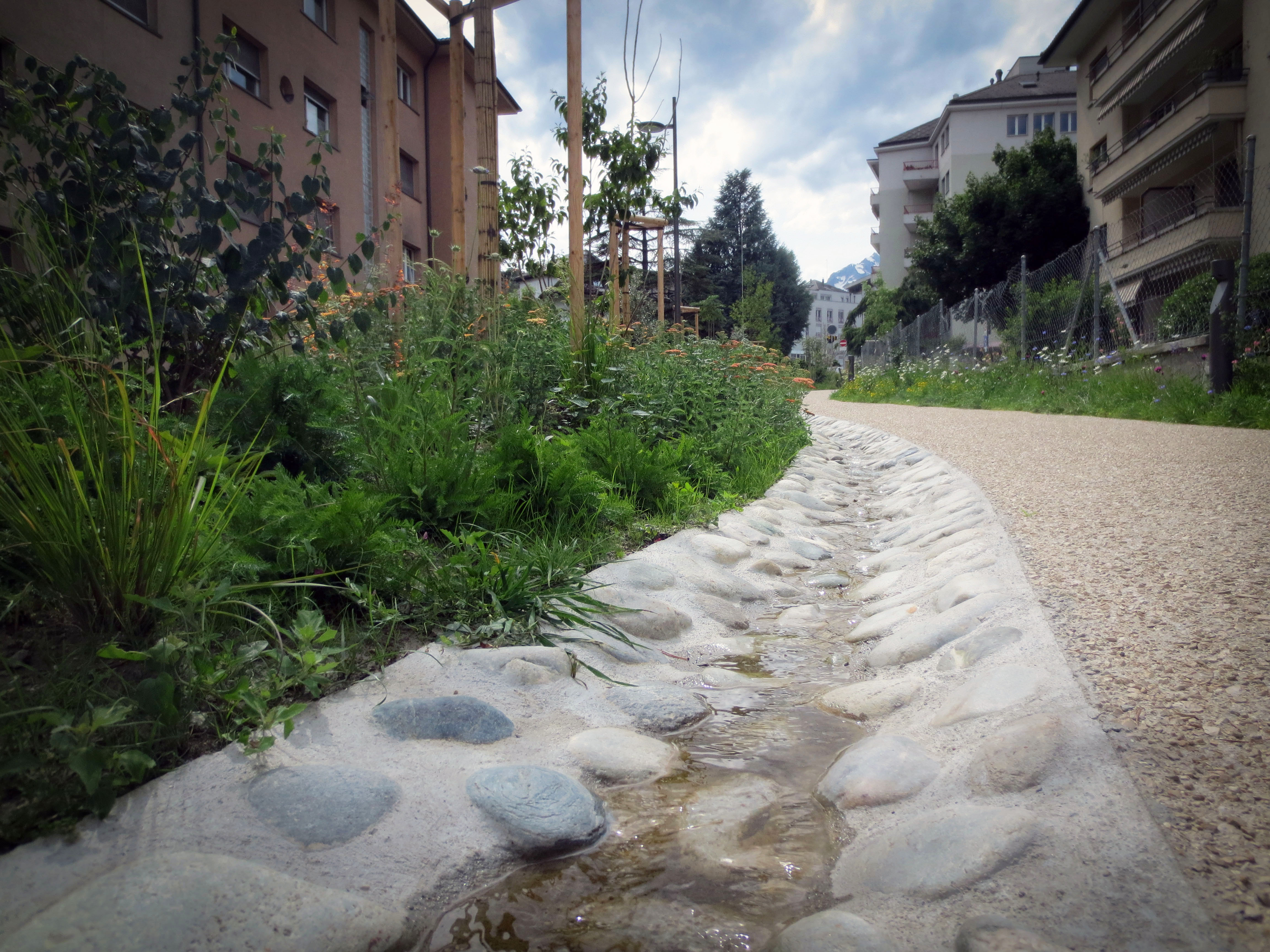 Rue des Aubépines