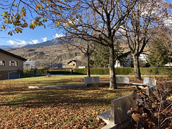 Jardin public place des Maronniers