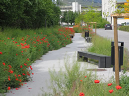 L'Avenue du Bietschhorn