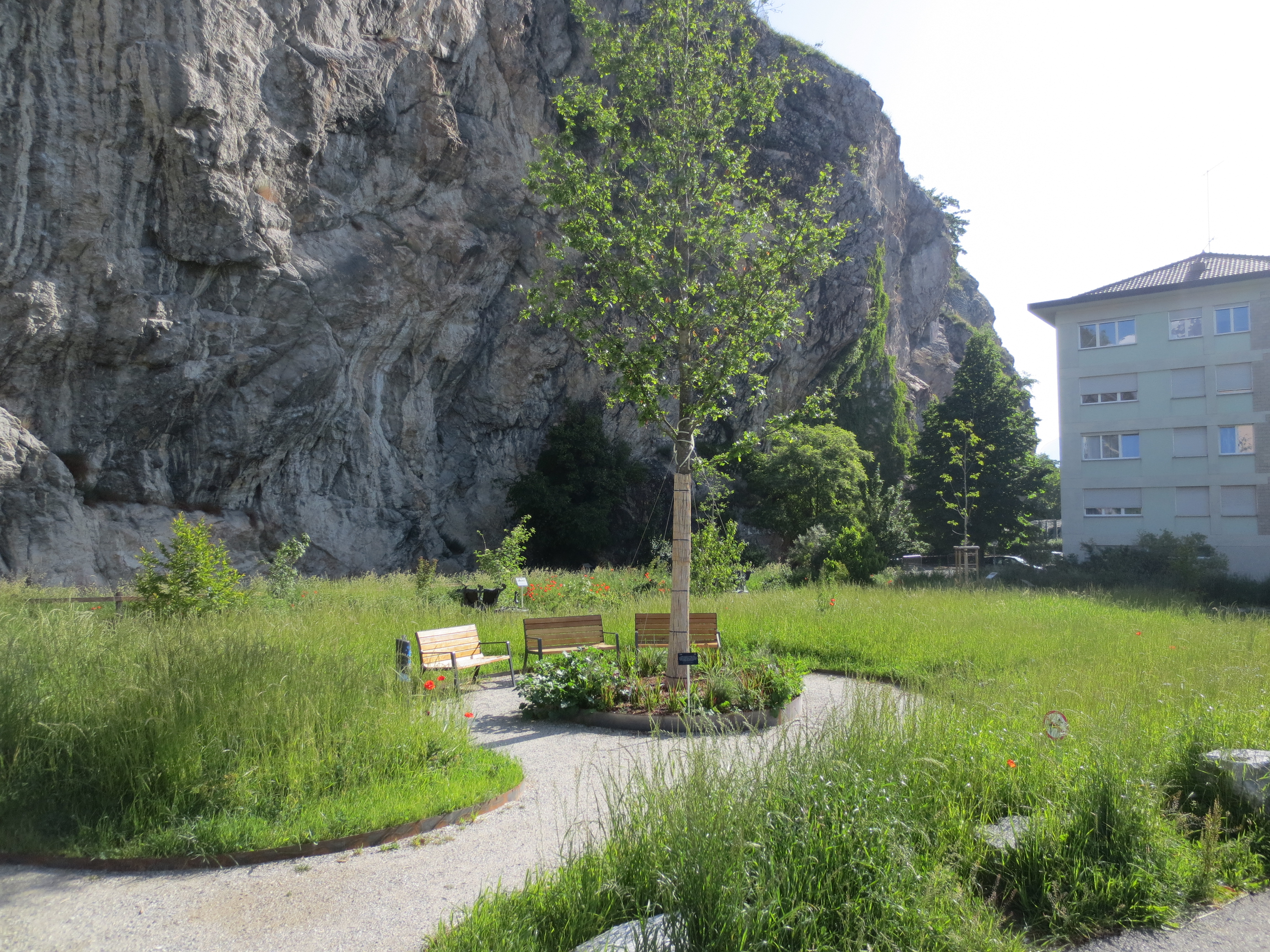 Parc de « l’arbre magicien »