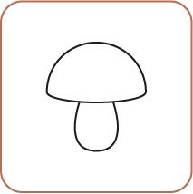 Champignon