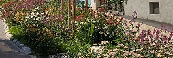 Biodiversité