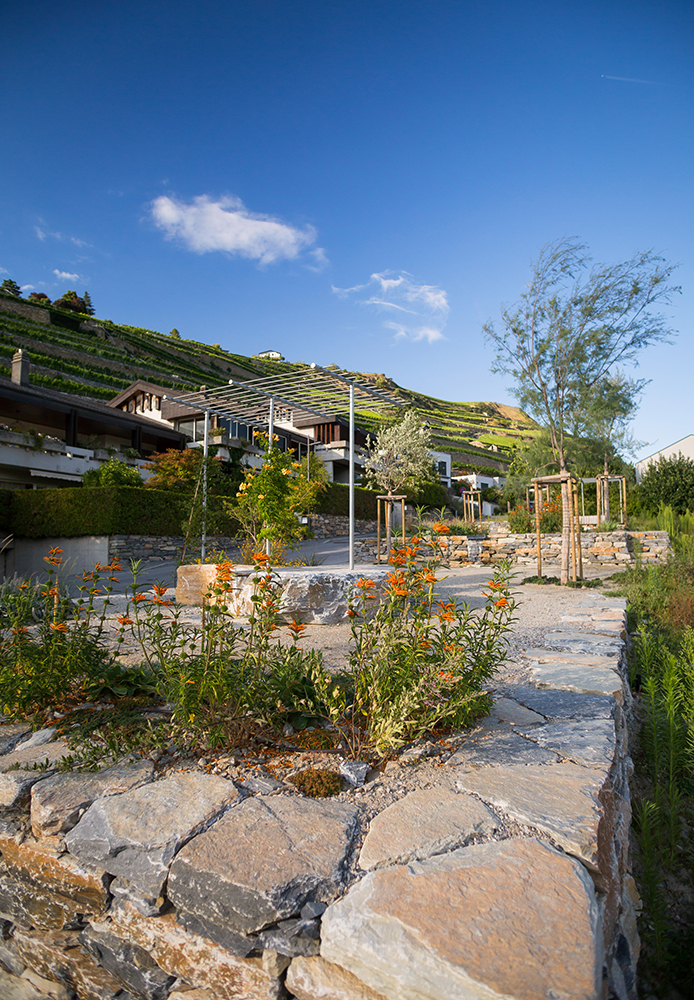 Les terrasses de la Cotzette