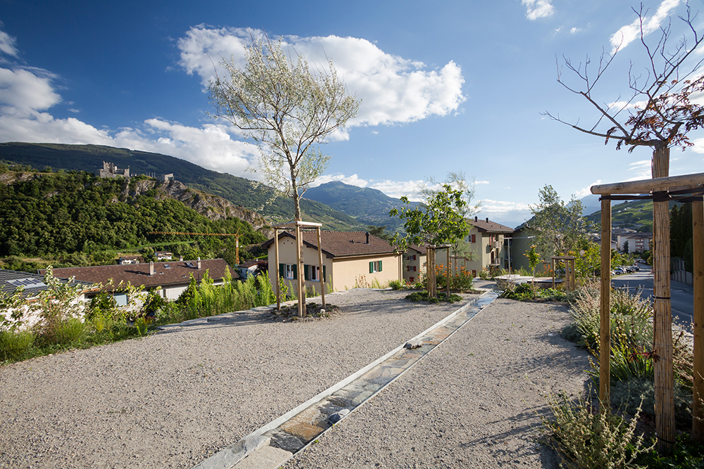 Les terrasses de la Cotzette