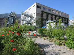 Parc de l'arbre magicien