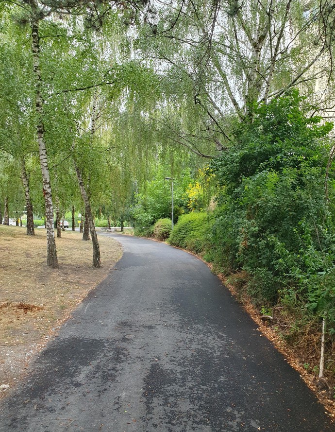 Réfection du revêtement aux rues du Parc et des Marèches