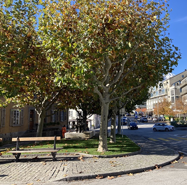 Jardin public aux Tonneliers