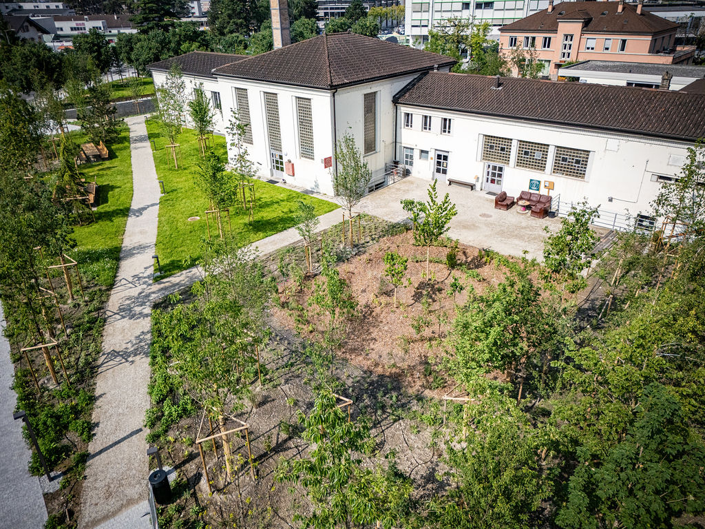 Parc des Anciens abattoirs