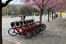 vélos en libre service