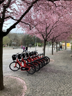 Vélos et trottinettes en libre-service
