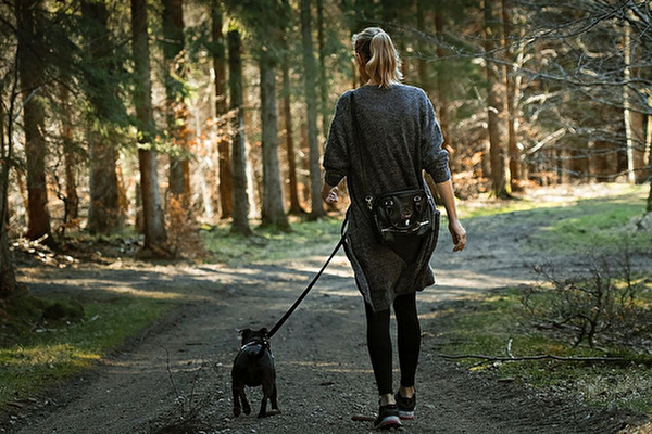 Leinenpflicht im Wald