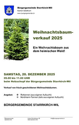 Weihnachtsbaumverkauf
