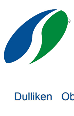 Spitexverein