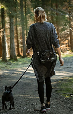 Leinenpflicht im Wald