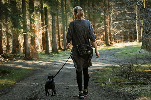 Leinenpflicht im Wald