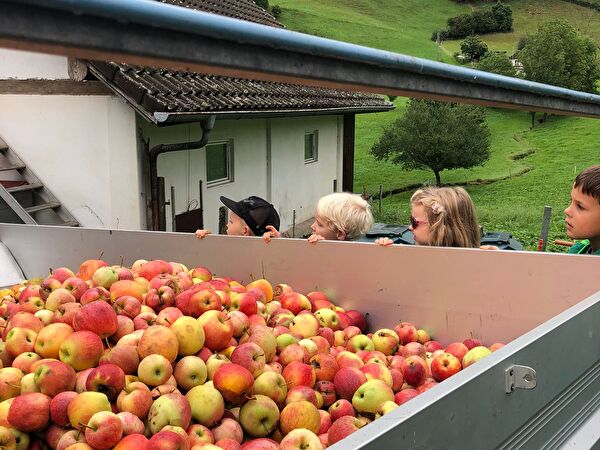 Vom Apfel bis zum Most