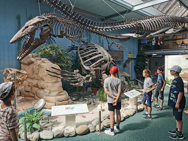 Dinosauriermuseum