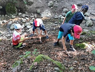 Ausflug in den Wald