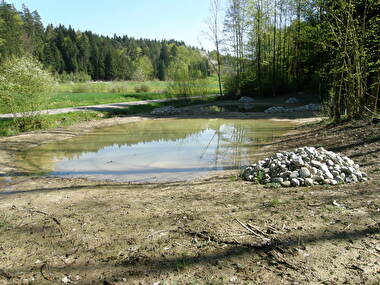 Krebsbachweiher