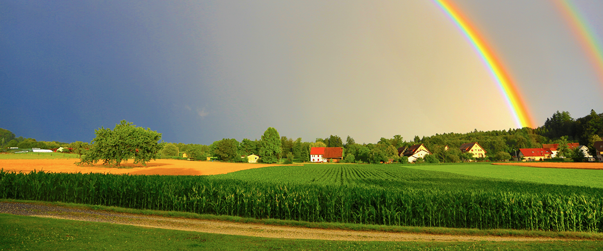 Regenbogen