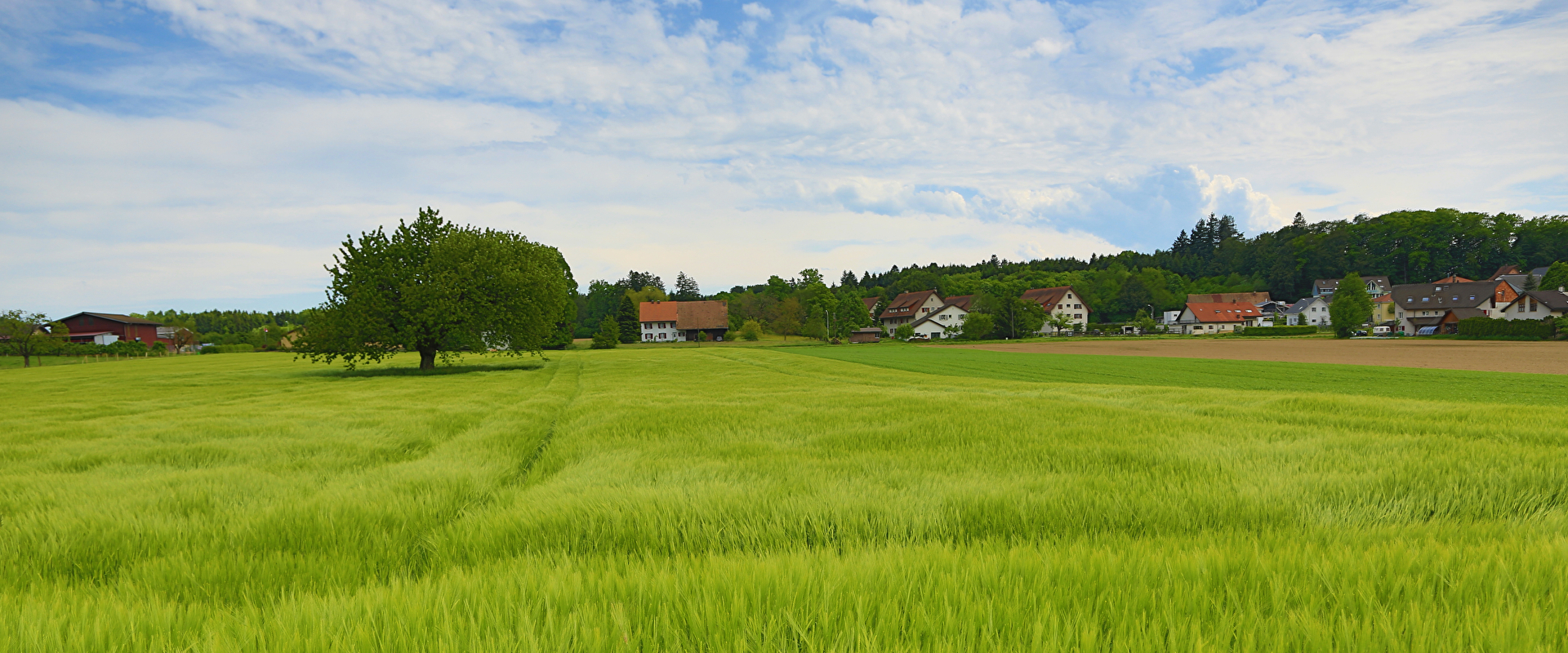 Feld un Dorf