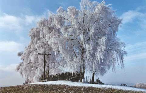 Winterstimmung auf dem Seerücken