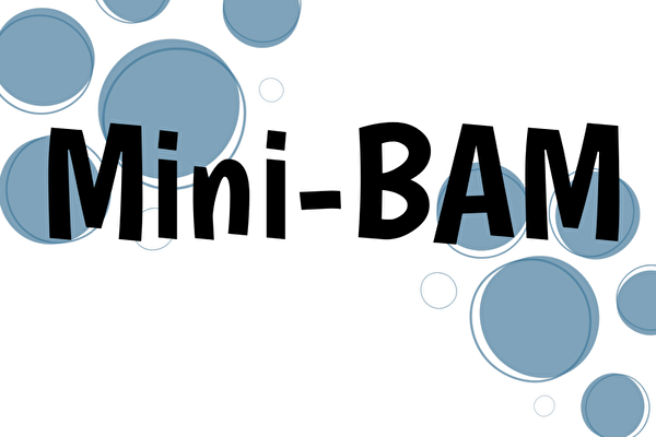 Mini-BAM