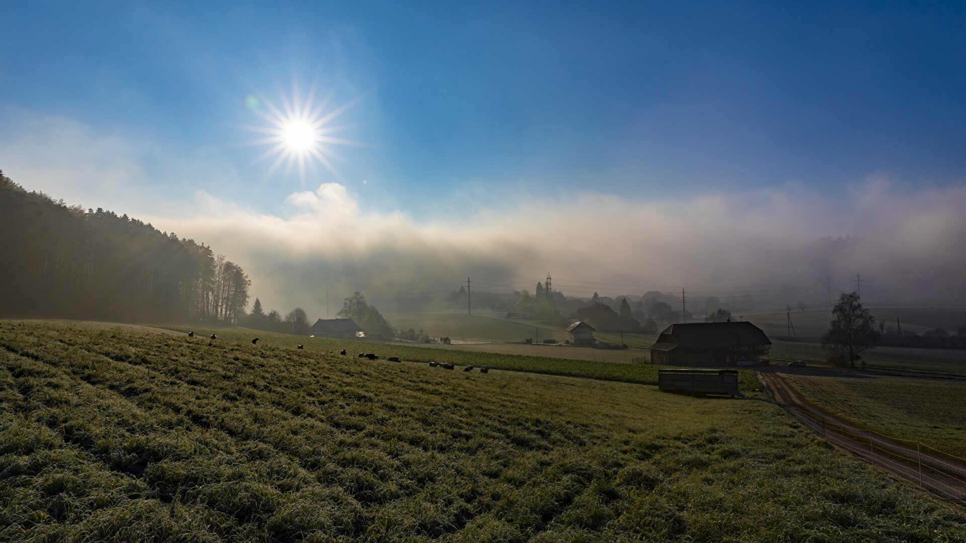 Bütikofen mit Nebel