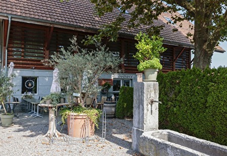 Platanenhof Kirchberg