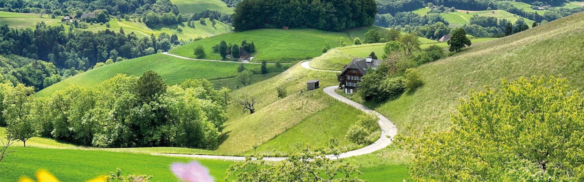 Emmentaler Hügel