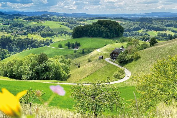 Emmental