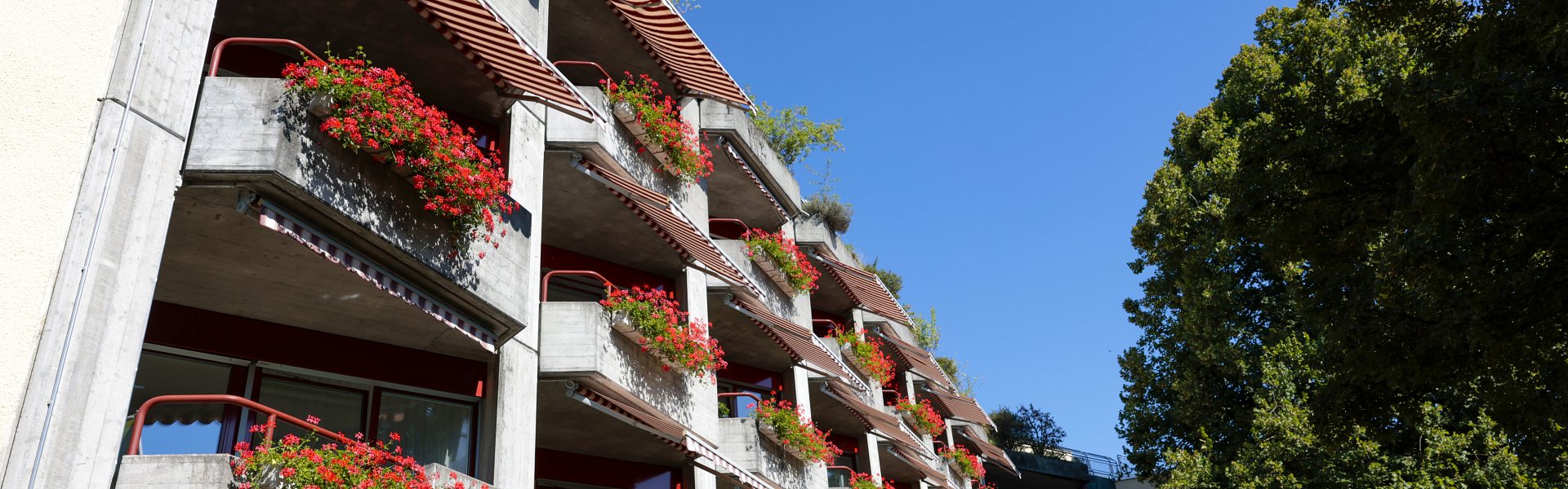 Seniorenzentrum Emme