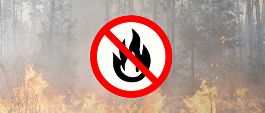 Feuerverbot